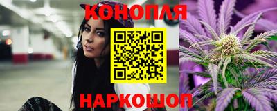 крисы Нальчик