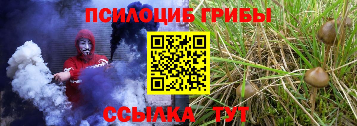 Северобайкальск  Псилоцибиновые грибы Cubensis  Галлюциногенные грибы мицелий  Вход с VPN 